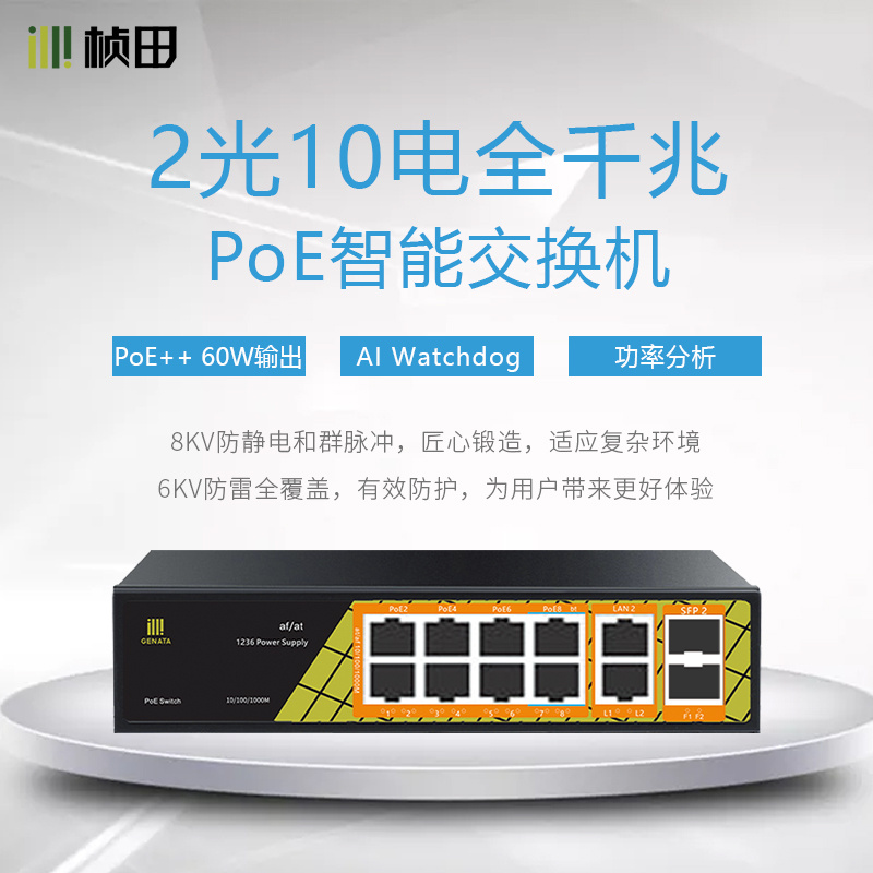 桢田GNT-P1012G6 120W 12口全千兆POE交换机